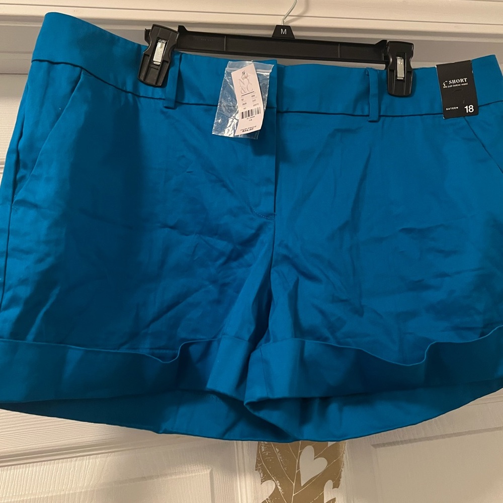 NWT Turquoise New York and Company Shorts